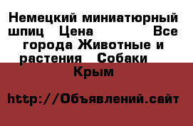 Немецкий миниатюрный шпиц › Цена ­ 60 000 - Все города Животные и растения » Собаки   . Крым